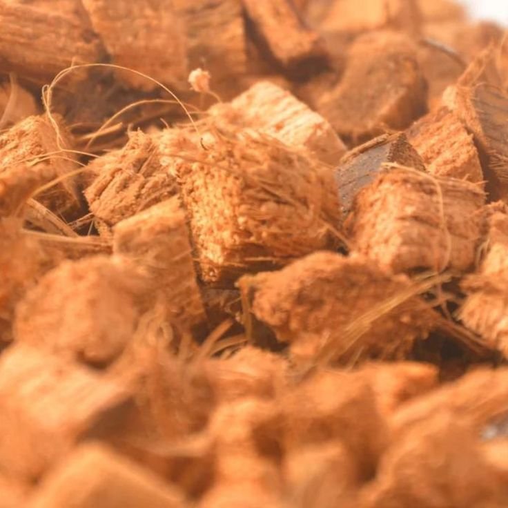 Cocochips