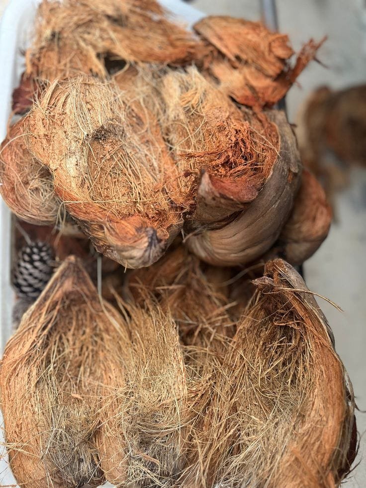 Coconut Husk